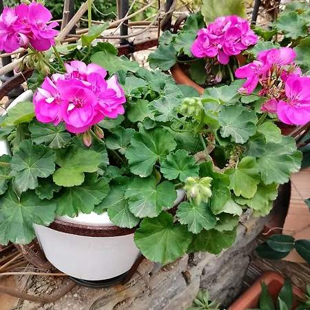 Villa Corallina Relais & Climbing Center