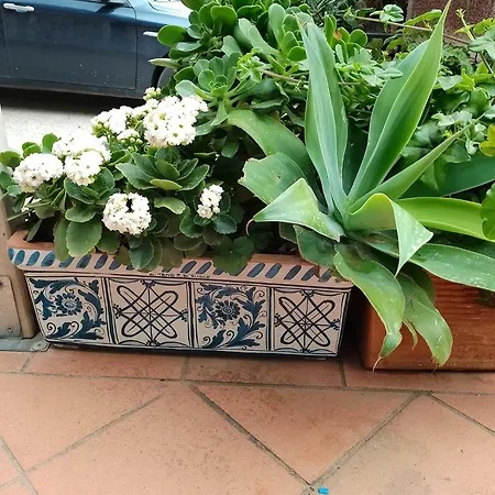 Corallina Relais & Climbing Center Villa San Vito Lo Capo