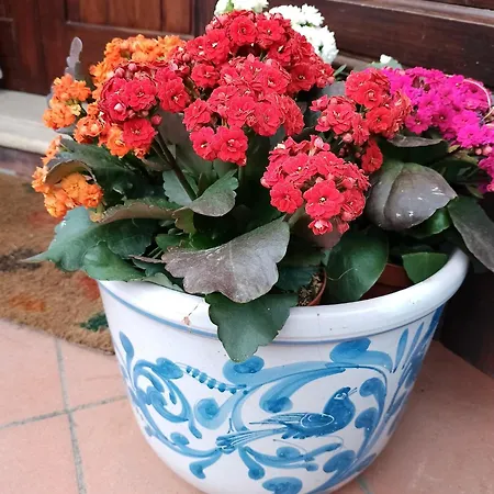 Corallina Relais & Climbing Center * San Vito Lo Capo